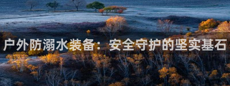 新宝gg代理条件