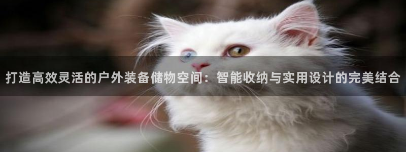 新宝gg一创造奇迹