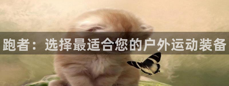 新宝gg娱乐盟主