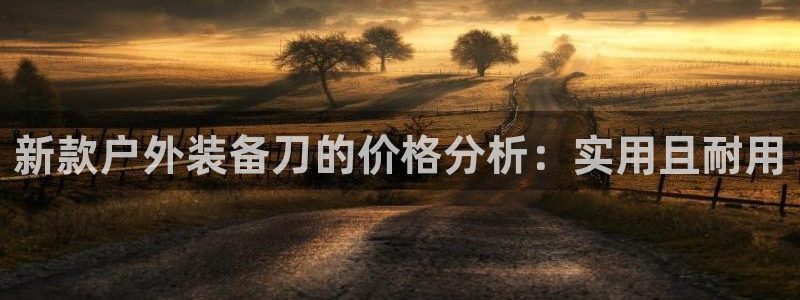 新宝gg平台下载安装