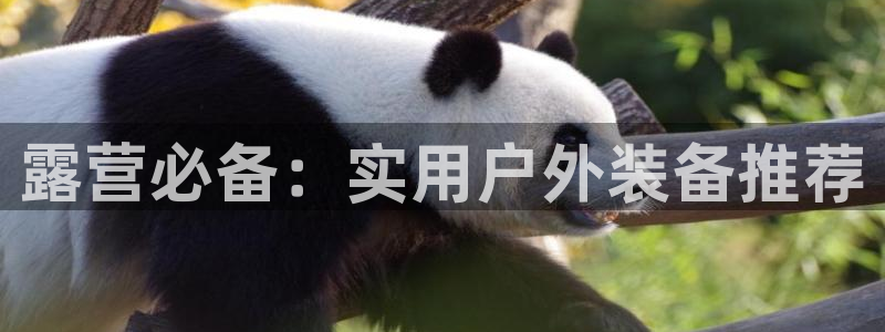 新宝gg平台登录