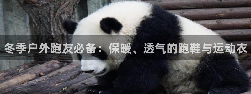 新宝gg2创造奇迹登录