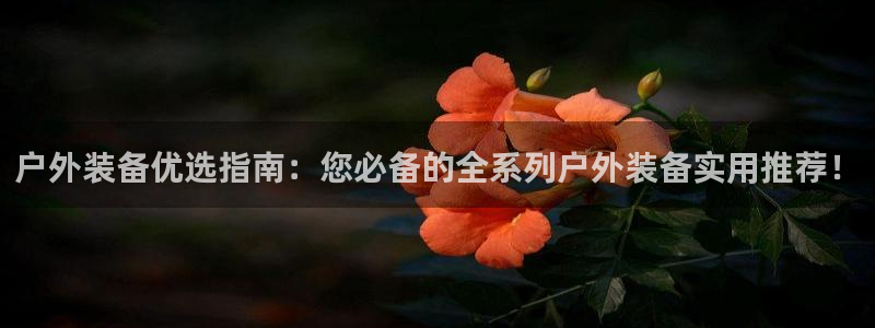 新宝gg平台连接