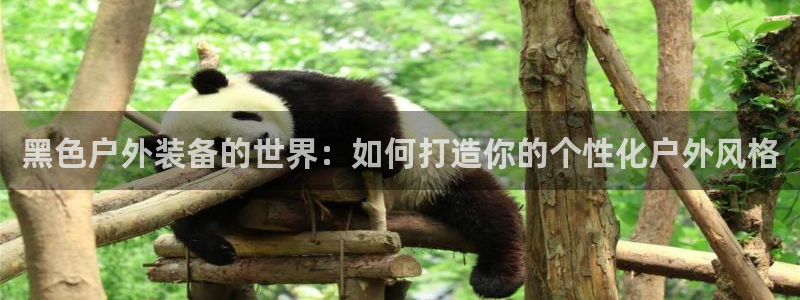 菲律宾新宝gg娱乐