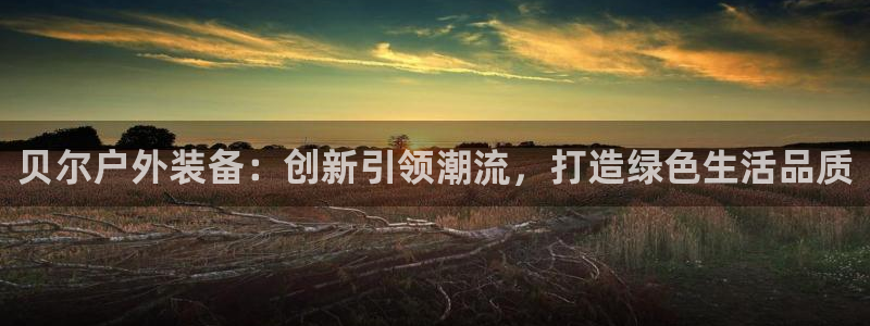 新宝gg如何注册登录