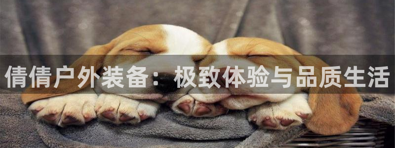 新宝gg登录页面