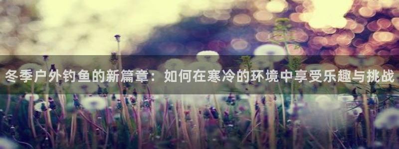 新宝gg代理注册