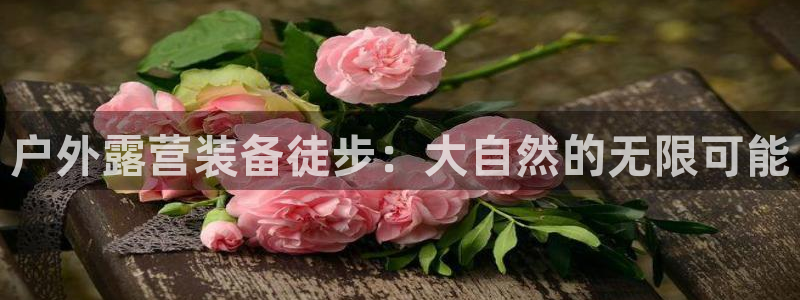 新宝gg手机助手