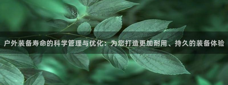 新宝gg刷流水